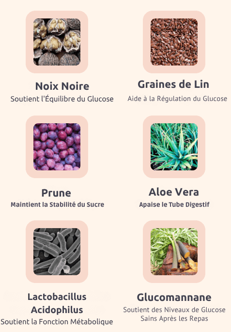 Noix Noire Supports Glucose Balance (1) (1)